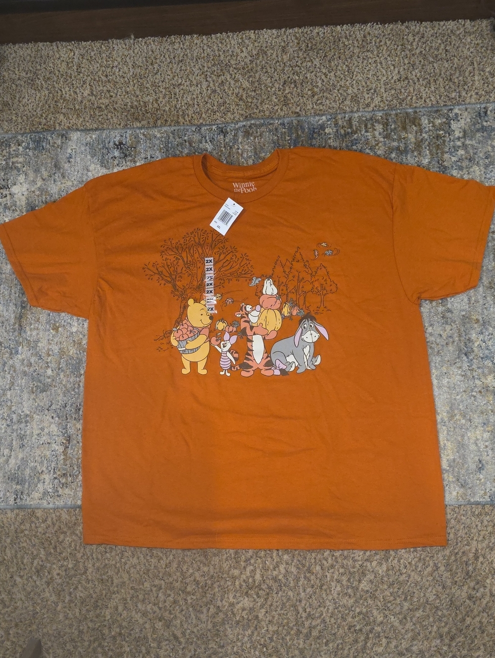 Disney Orange Winnie the Pooh & Friends Graphic Tee